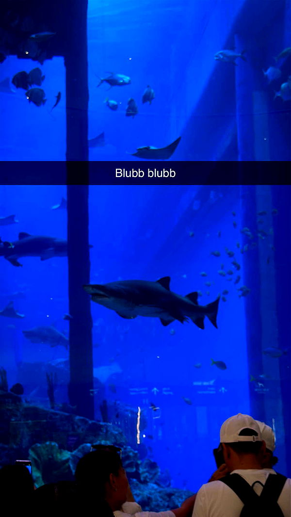 samantrasunny image ~ Altpins