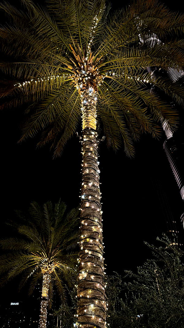 samantrasunny image ~ Altpins