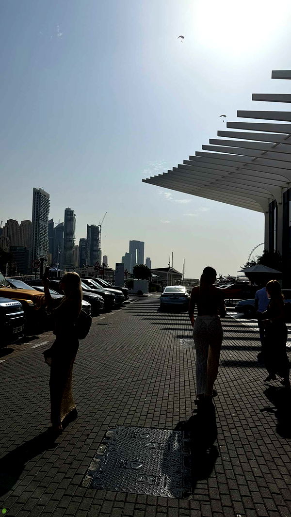 samantrasunny image ~ Altpins