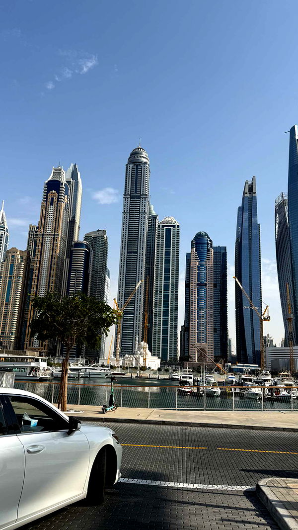 samantrasunny image ~ Altpins