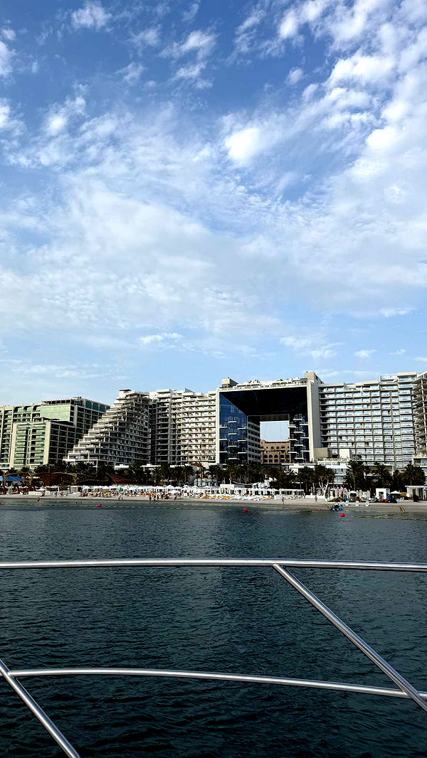 samantrasunny image ~ Altpins