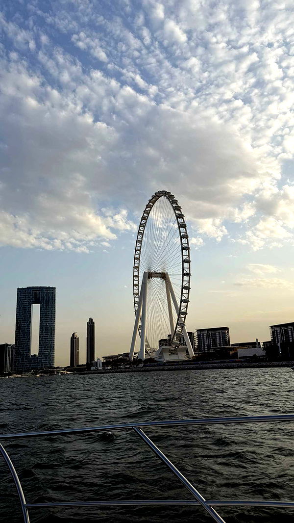 samantrasunny image ~ Altpins