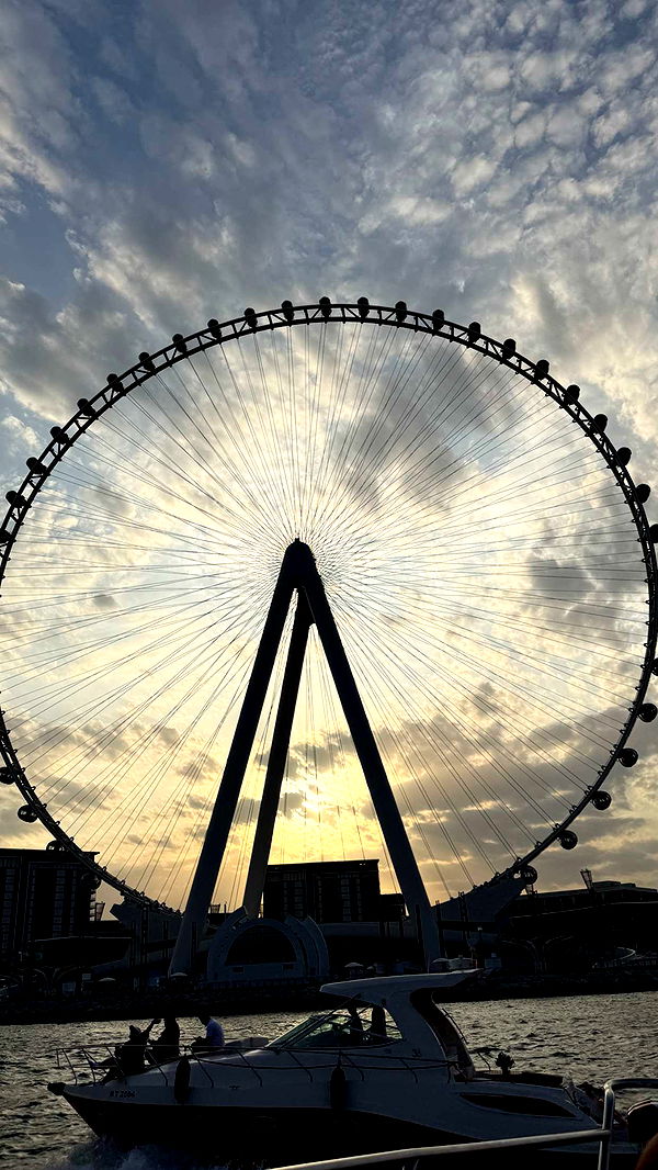 samantrasunny image ~ Altpins