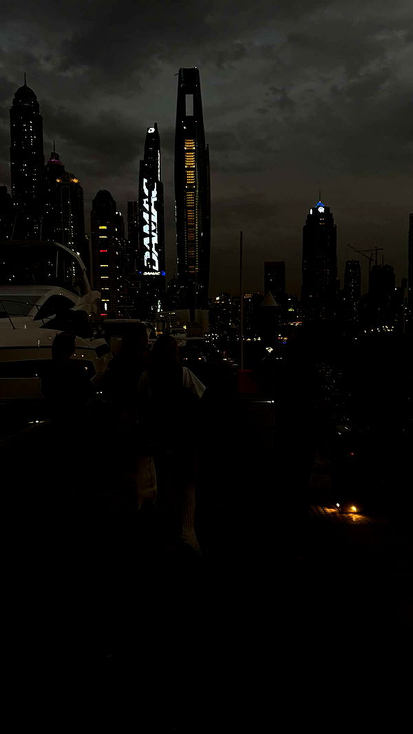 samantrasunny image ~ Altpins