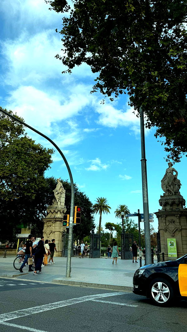 samantrasunny image ~ Altpins