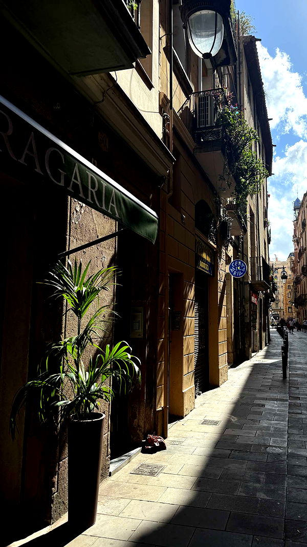 samantrasunny image ~ Altpins