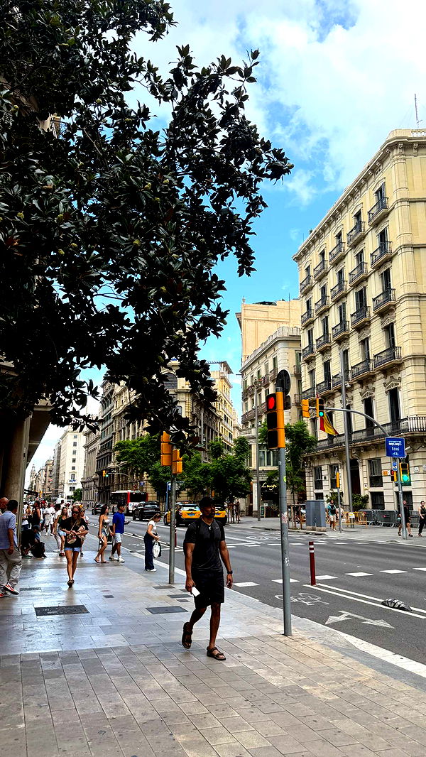 samantrasunny image ~ Altpins