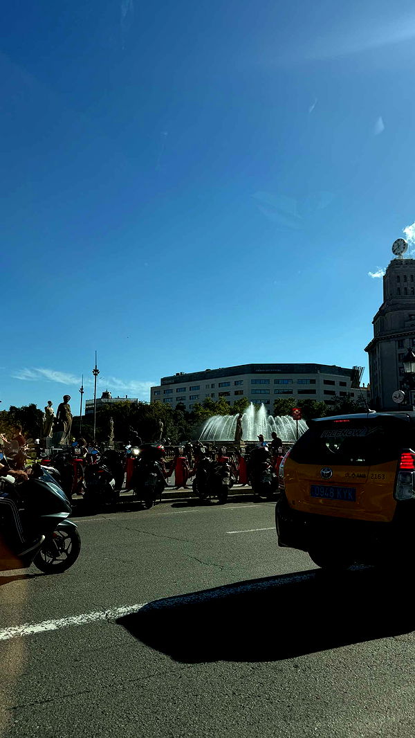 samantrasunny image ~ Altpins