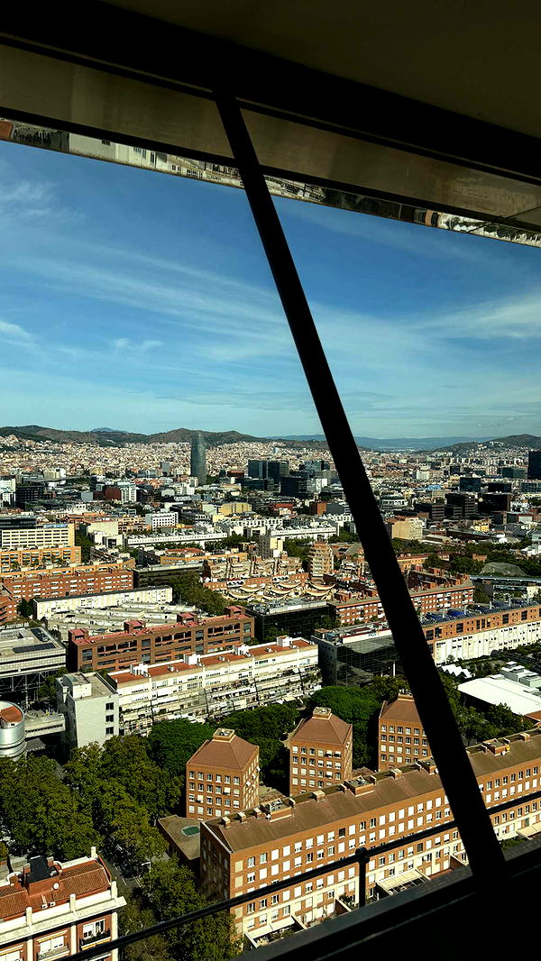 samantrasunny image ~ Altpins