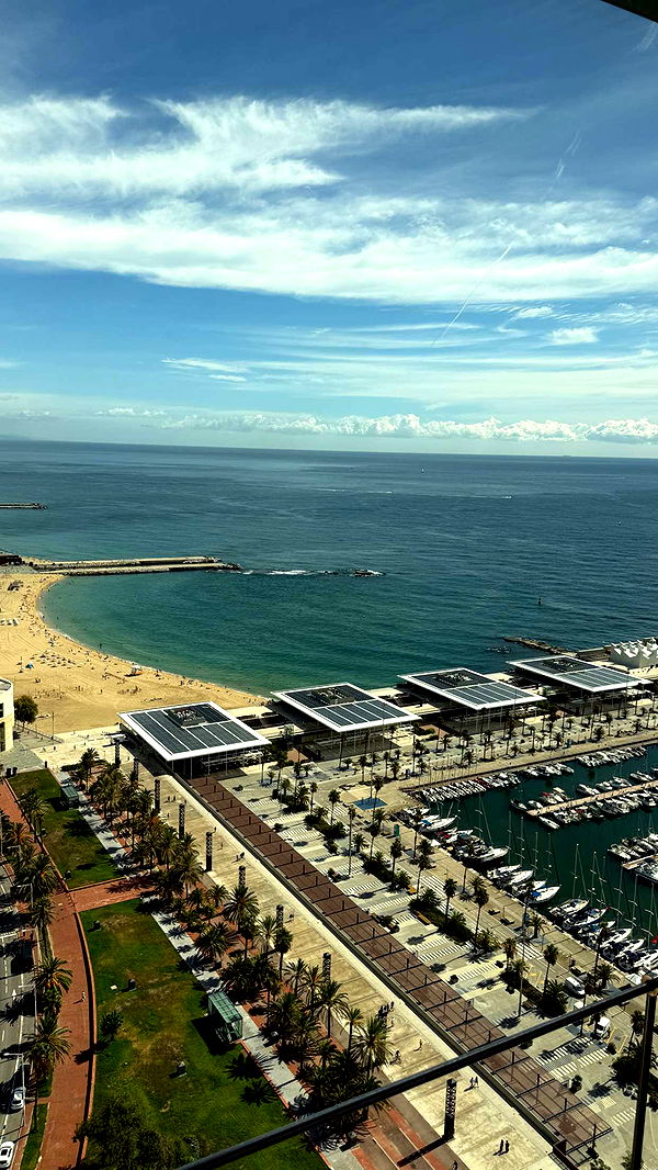 samantrasunny image ~ Altpins