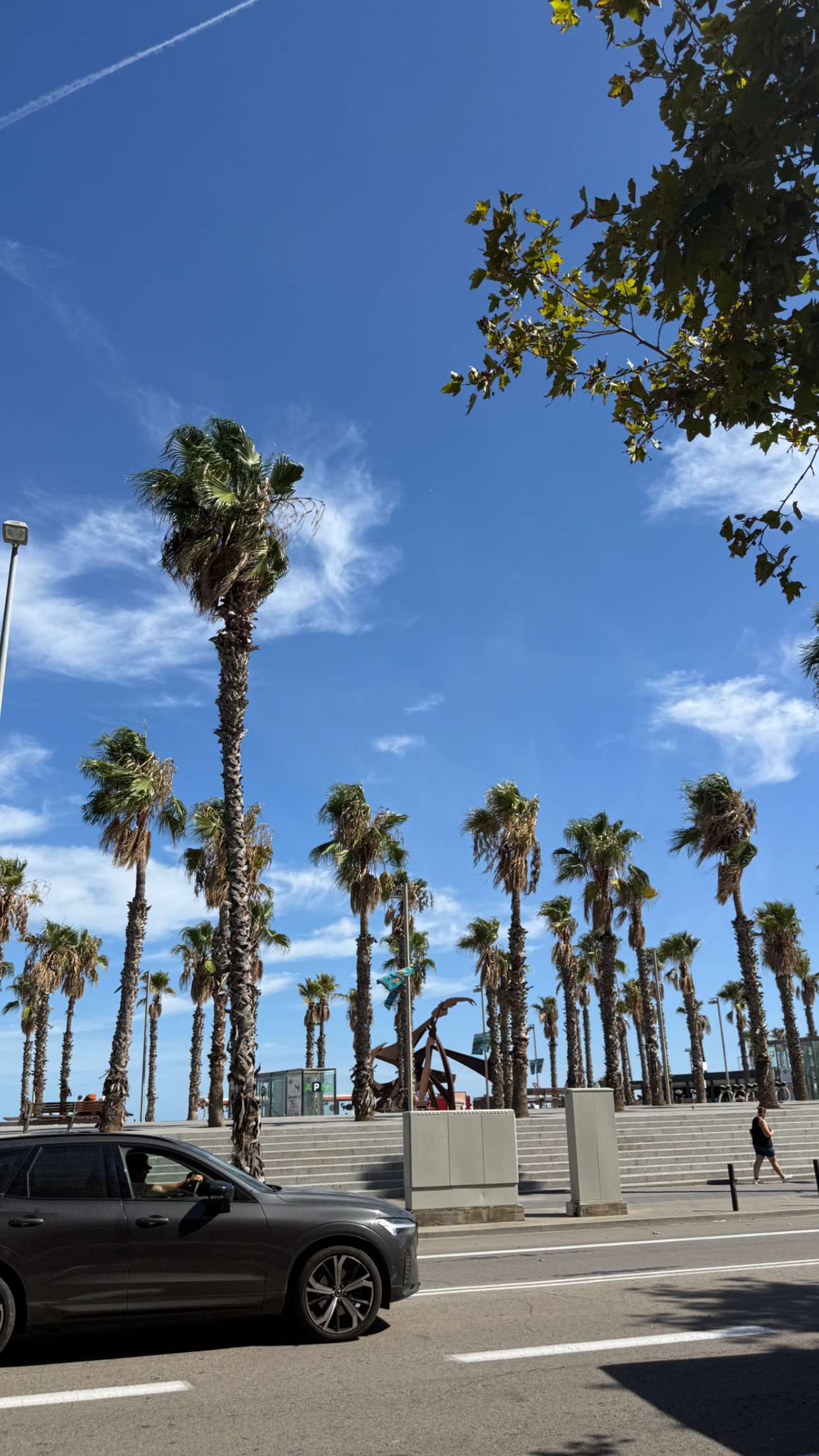 samantrasunny snapchat image archive image