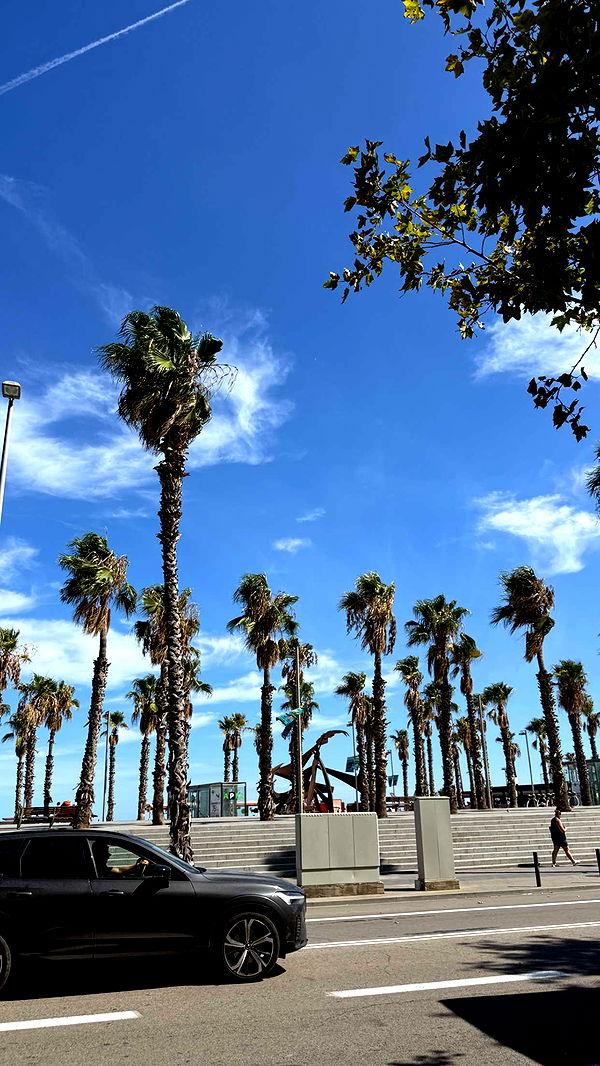 samantrasunny image ~ Altpins