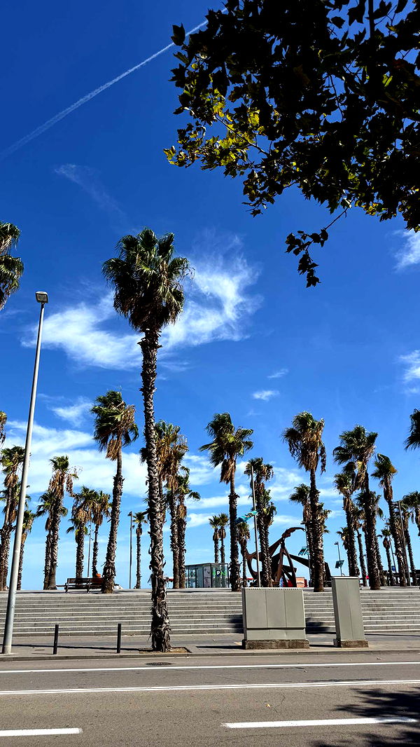 samantrasunny image ~ Altpins