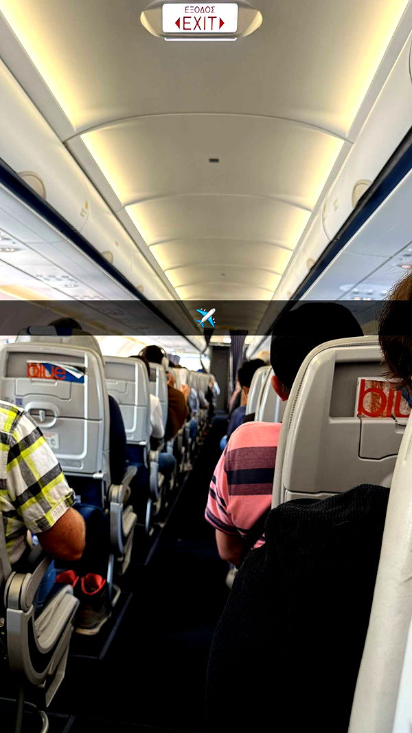 samantrasunny image ~ Altpins