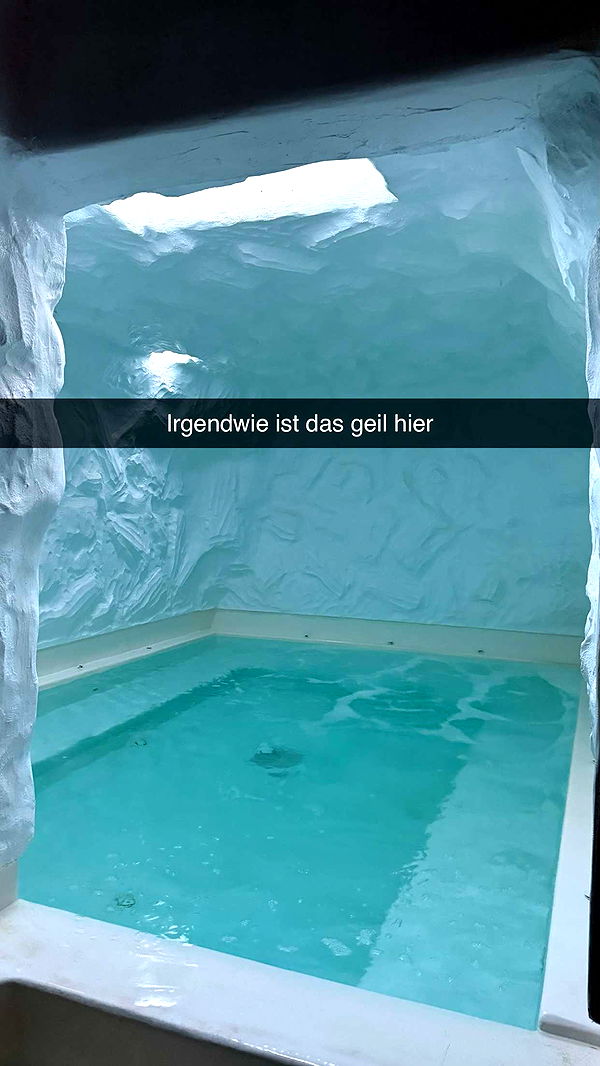 samantrasunny image ~ Altpins