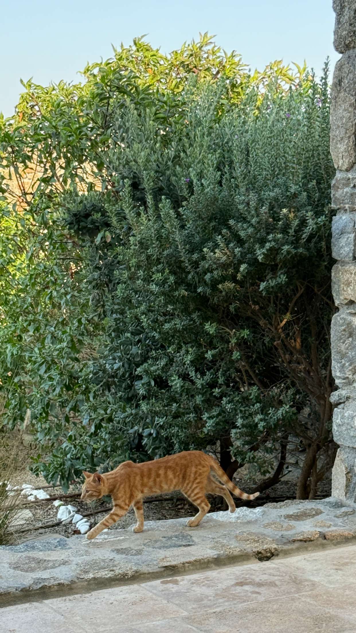 samantrasunny snapchat image archive image