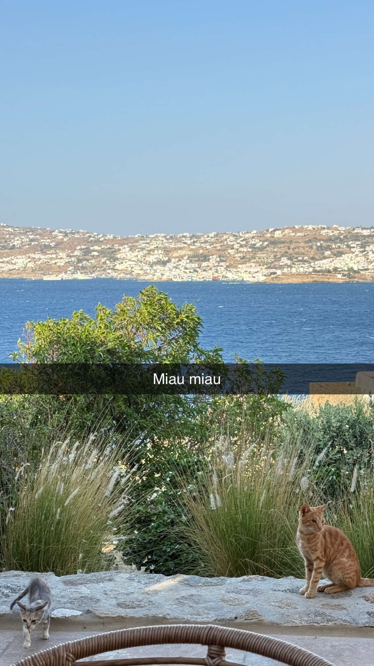 samantrasunny snapchat image archive image