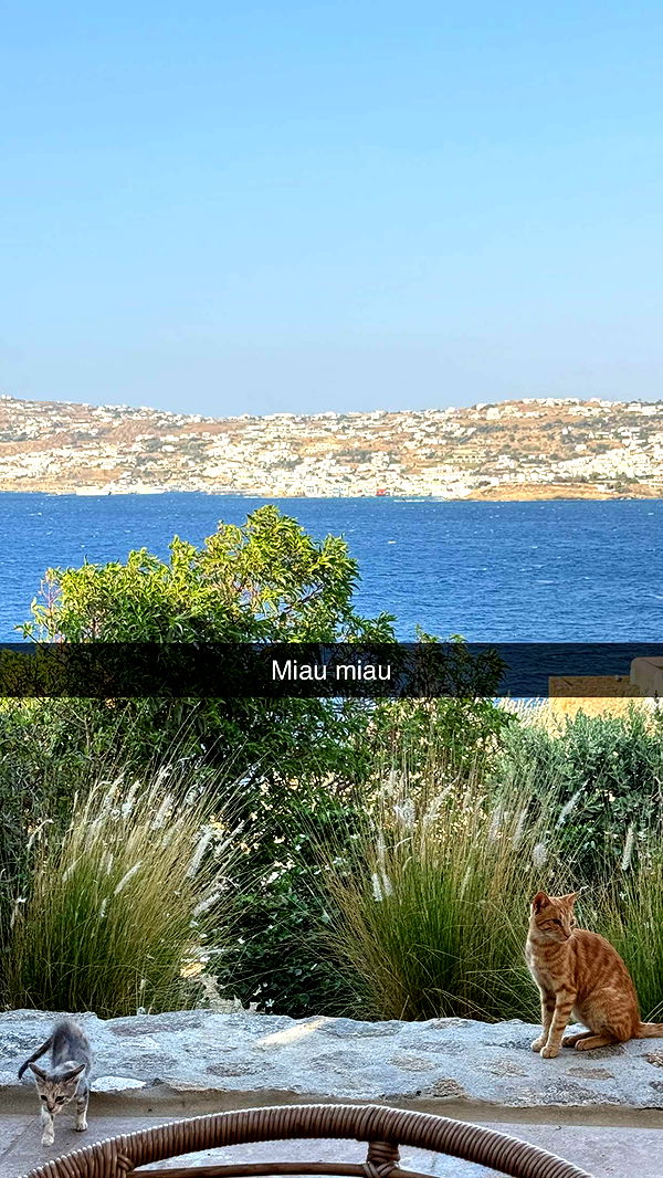 samantrasunny image ~ Altpins