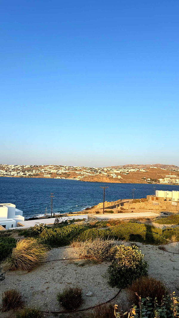 samantrasunny image ~ Altpins