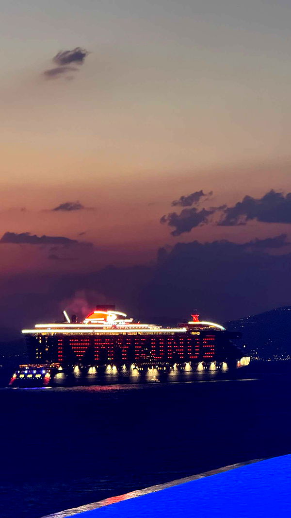 samantrasunny image ~ Altpins