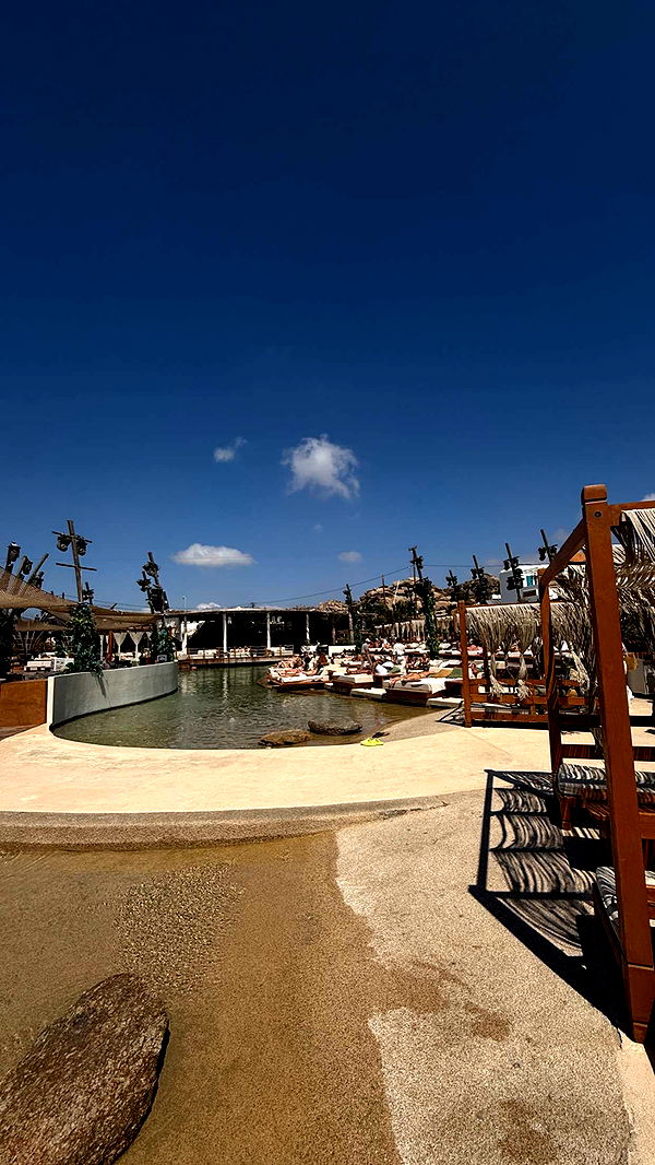 samantrasunny image ~ Altpins