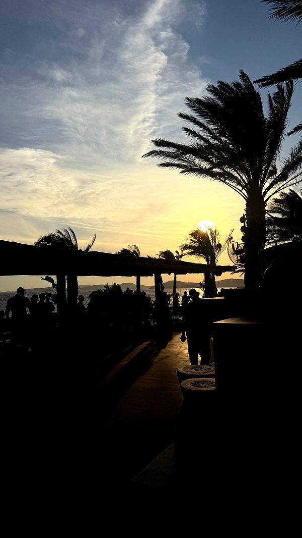 samantrasunny image ~ Altpins