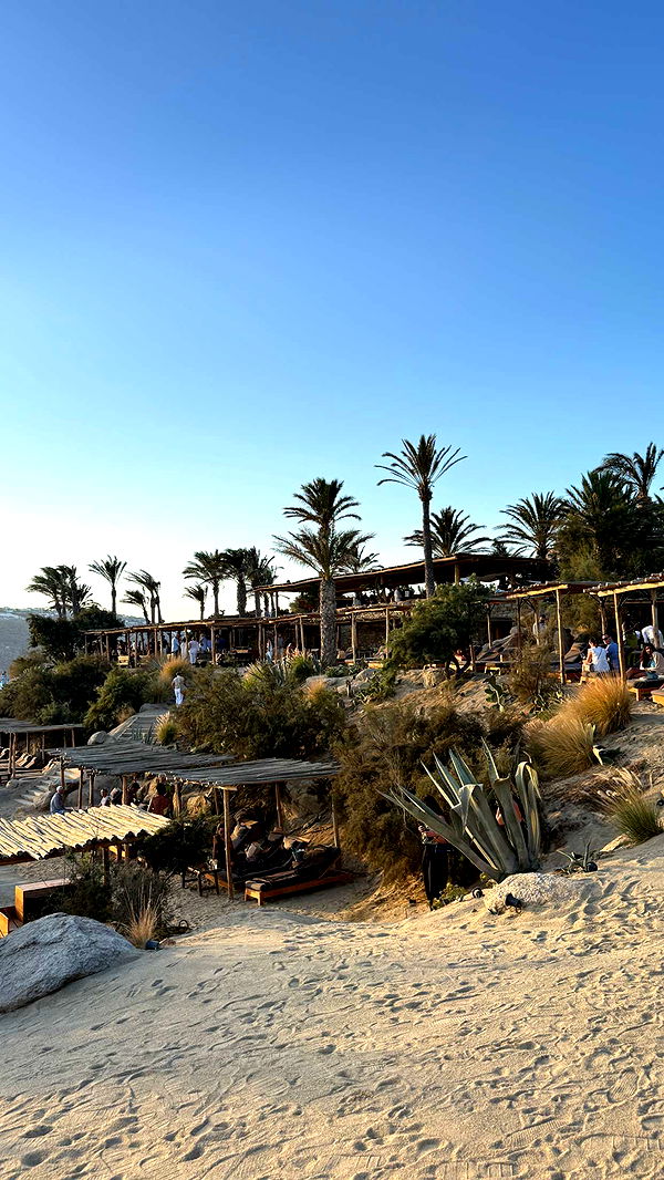 samantrasunny image ~ Altpins