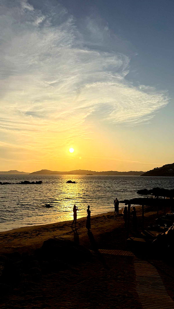 samantrasunny image ~ Altpins