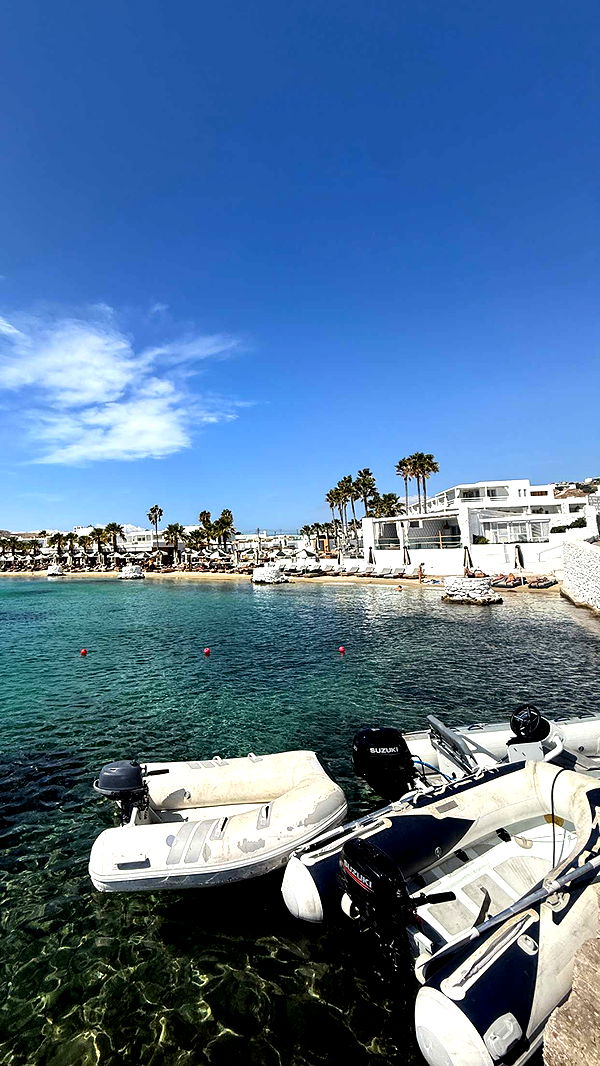 samantrasunny image ~ Altpins