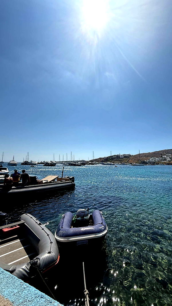 samantrasunny image ~ Altpins