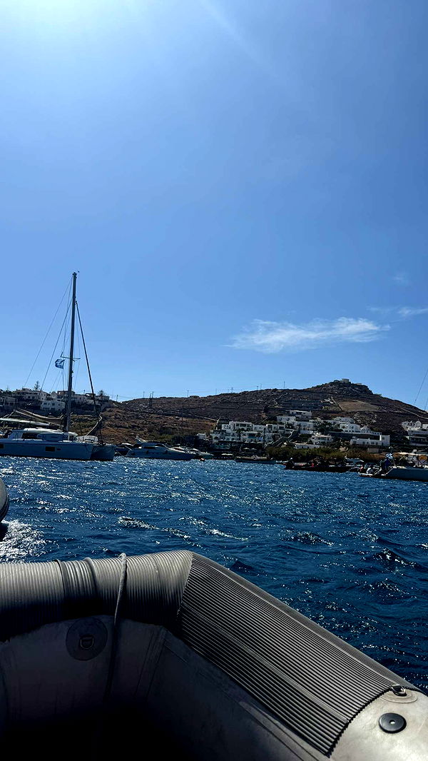 samantrasunny image ~ Altpins