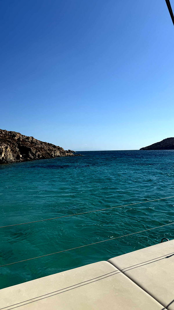 samantrasunny image ~ Altpins