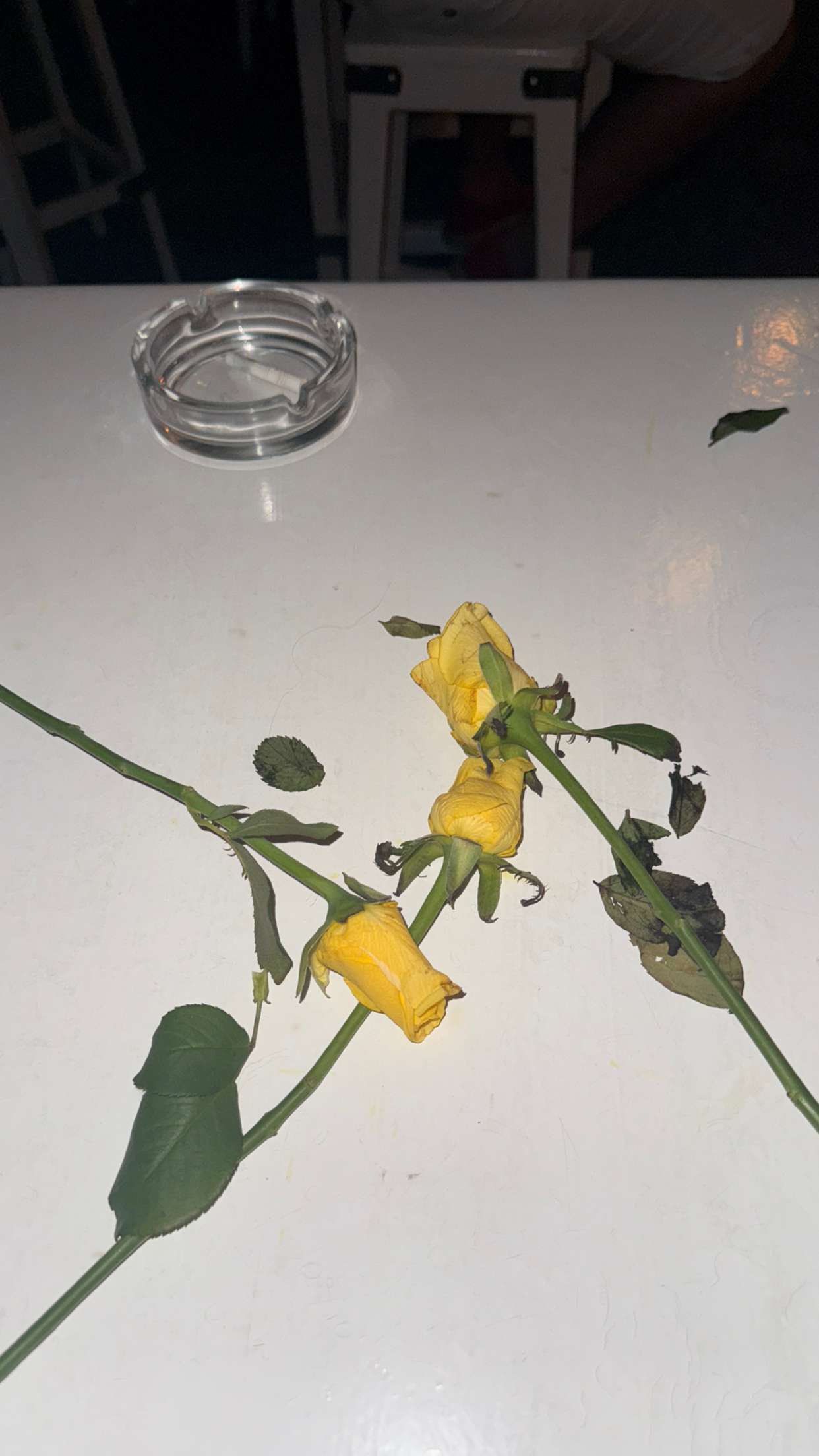 samantrasunny snapchat image archive image