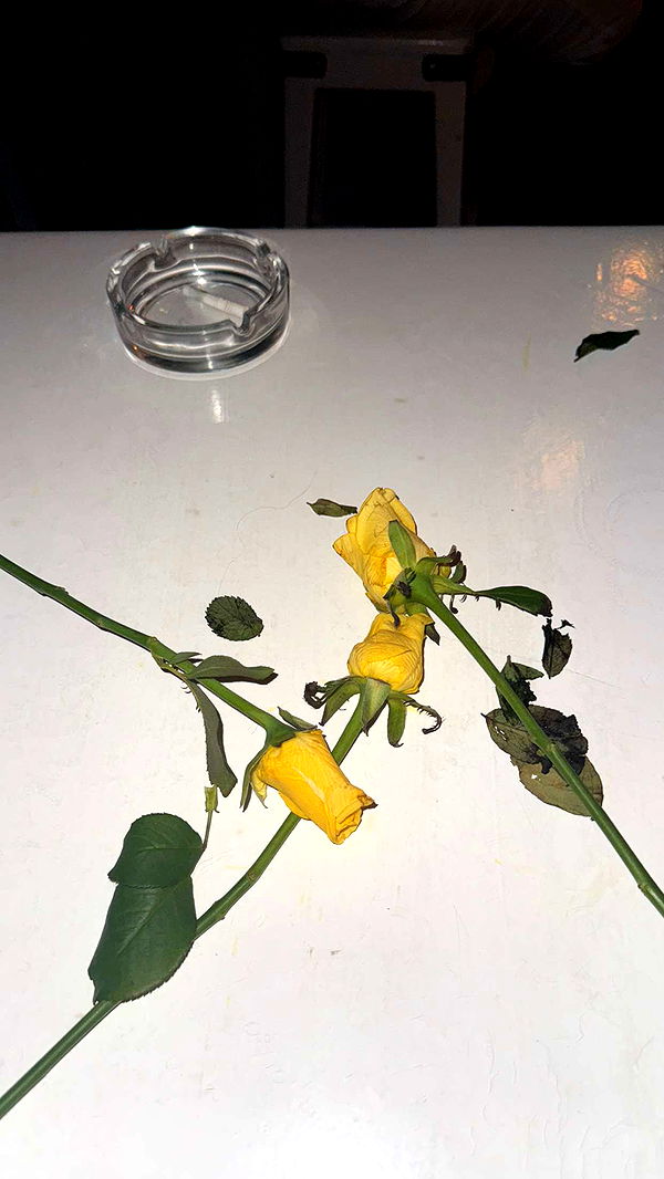 samantrasunny image ~ Altpins