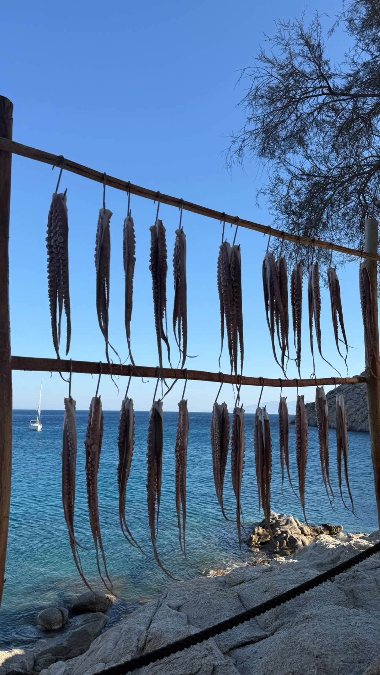 samantrasunny snapchat image archive image