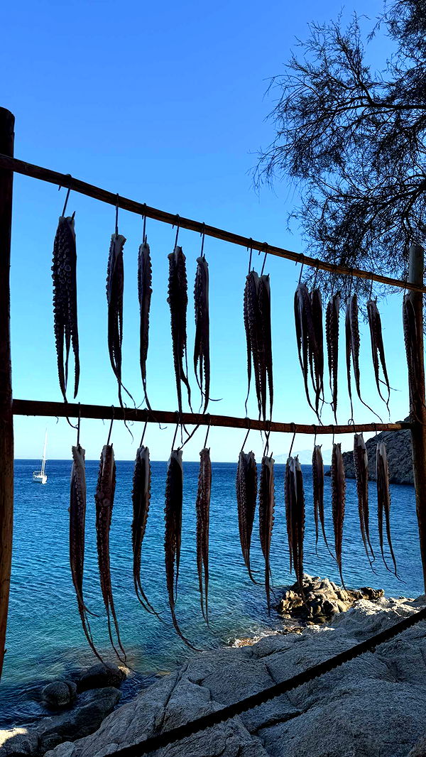 samantrasunny image ~ Altpins