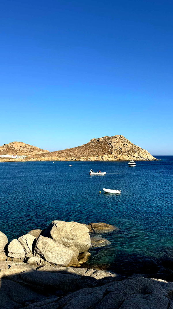 samantrasunny image ~ Altpins