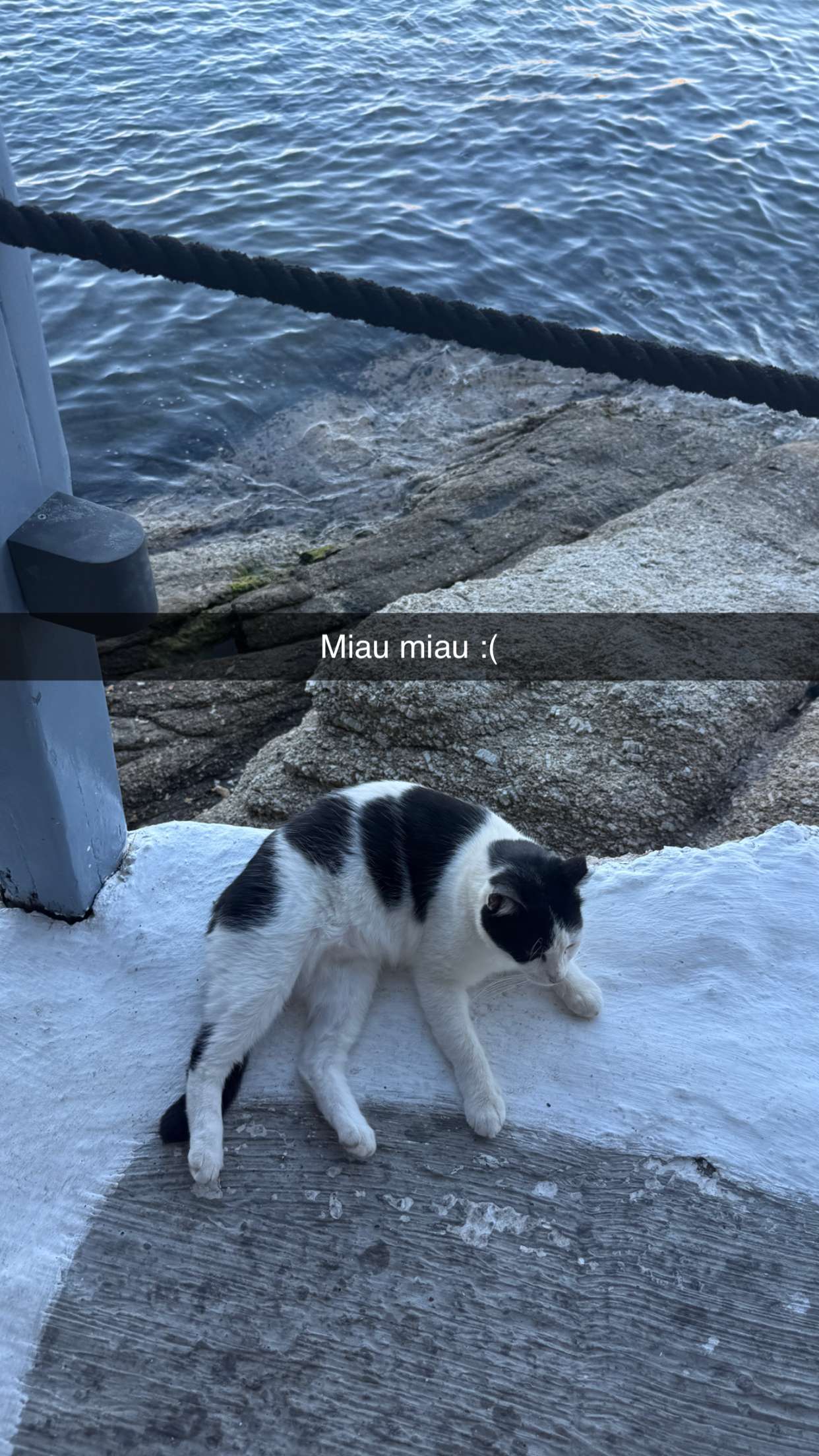 samantrasunny snapchat image archive image