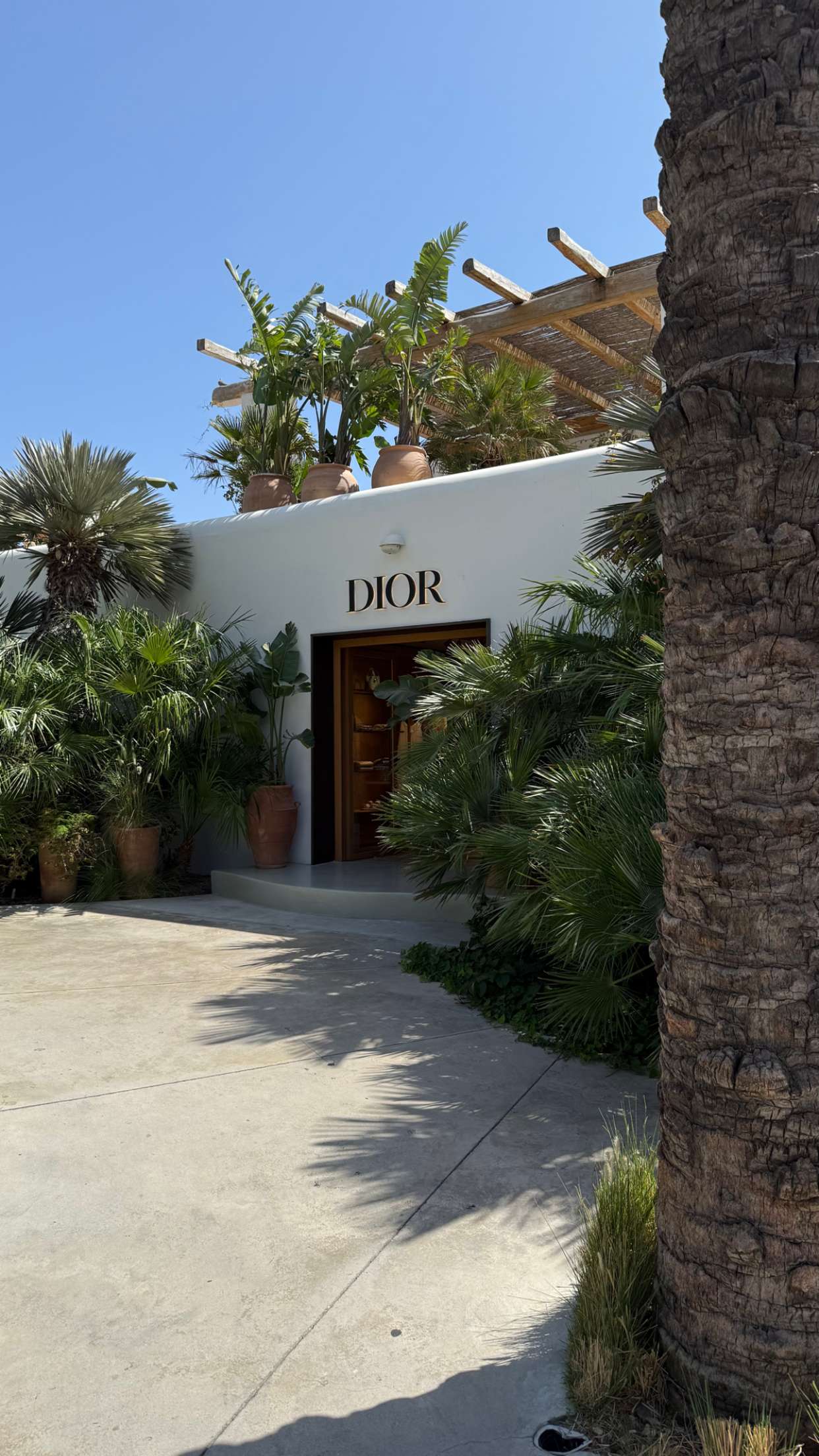 samantrasunny snapchat image archive image