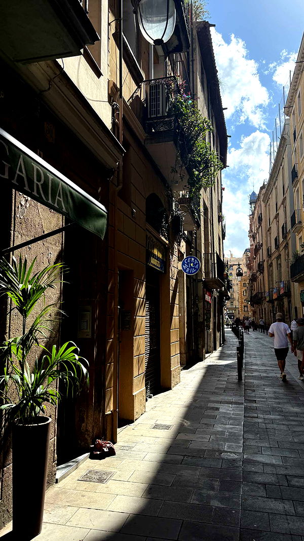 samantrasunny image ~ Altpins