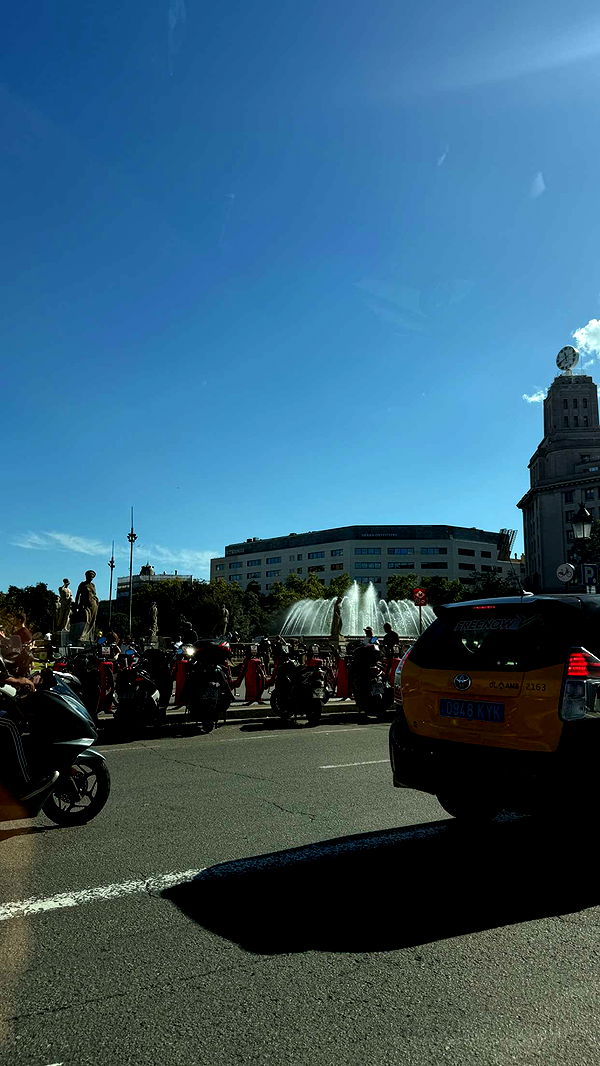 samantrasunny image ~ Altpins