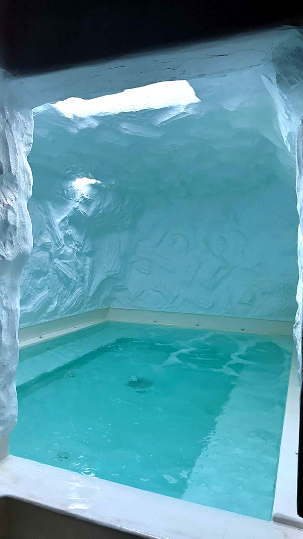 samantrasunny image ~ Altpins