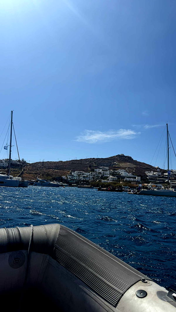 samantrasunny image ~ Altpins