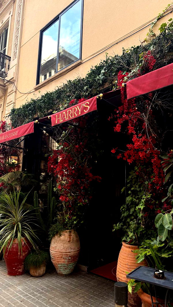 samantrasunny image ~ Altpins