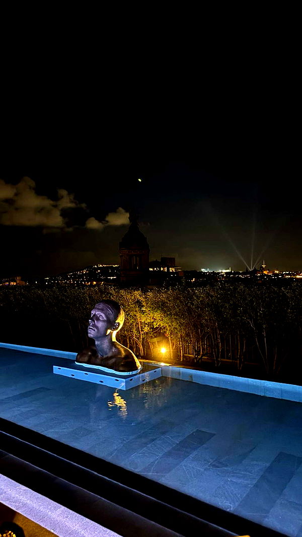 samantrasunny image ~ Altpins