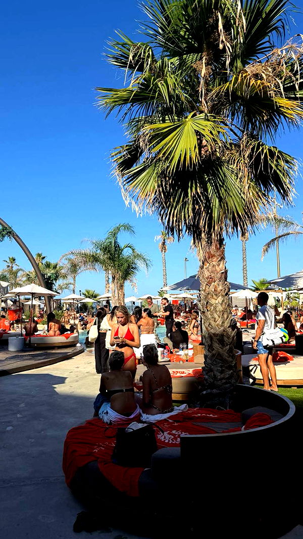 samantrasunny image ~ Altpins