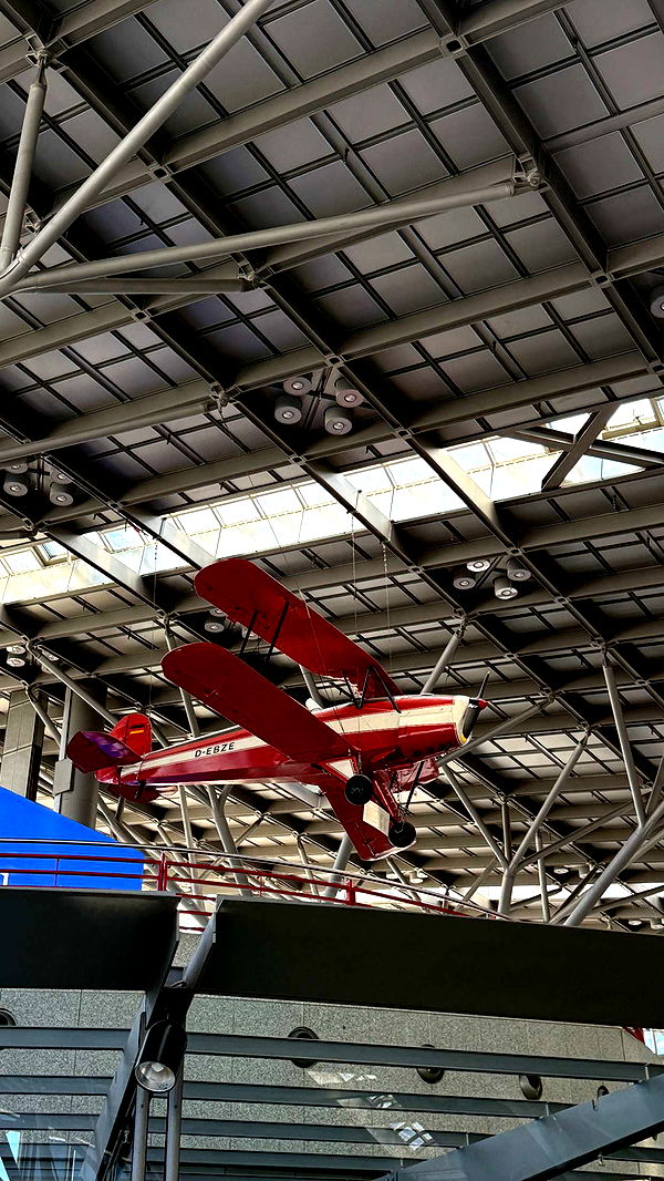 samantrasunny image ~ Altpins