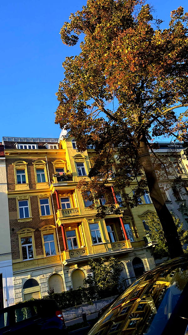 samantrasunny image ~ Altpins