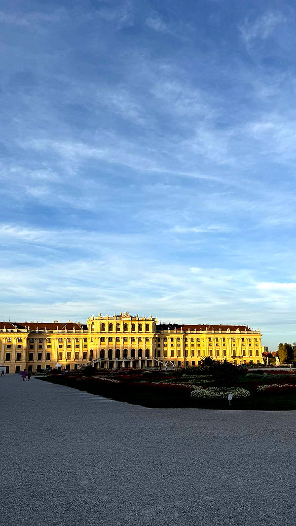 samantrasunny image ~ Altpins