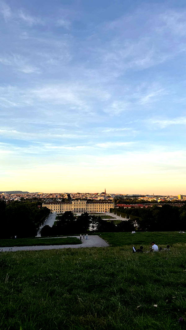 samantrasunny image ~ Altpins